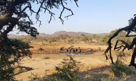 Beautiful South Africa