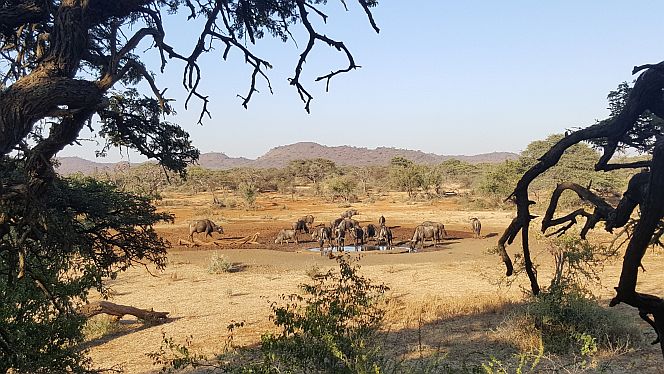 Read more about the article Beautiful South Africa