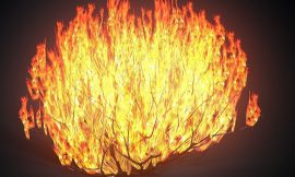 Does my father make me proud?