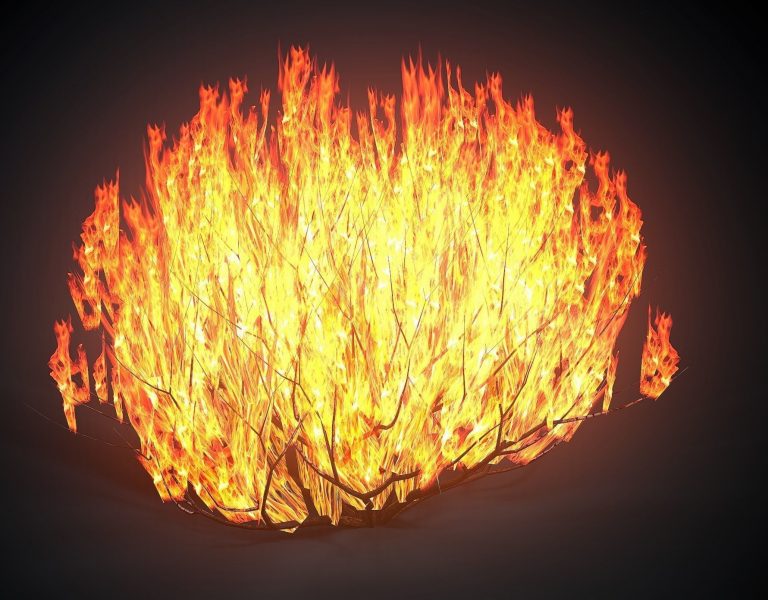 Read more about the article Does my father make me proud?