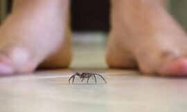 We all share reverence for life